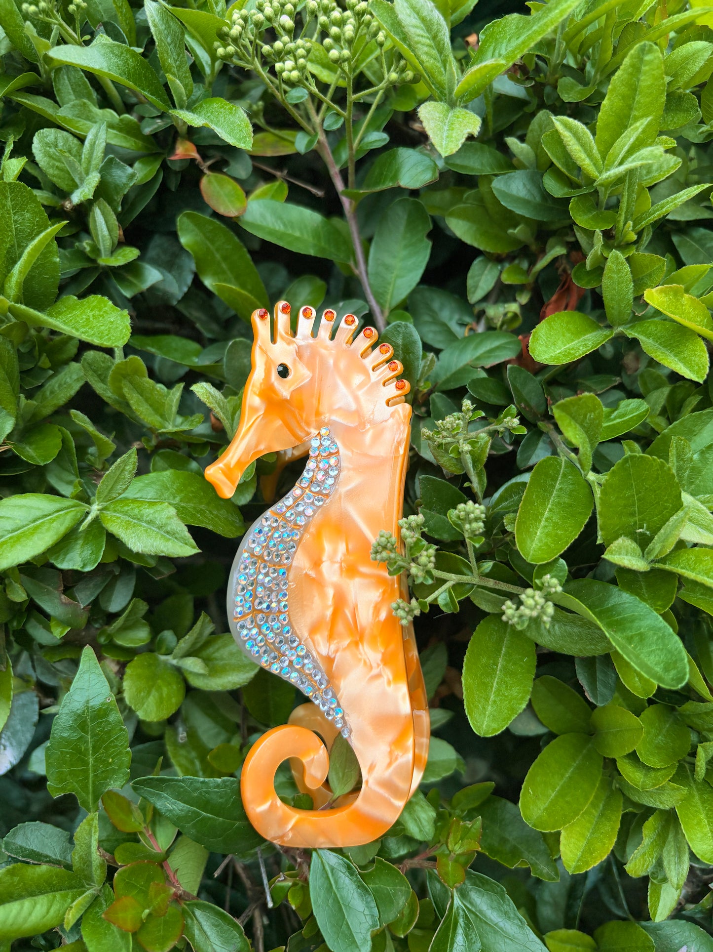 Pinza golden coral seahorse